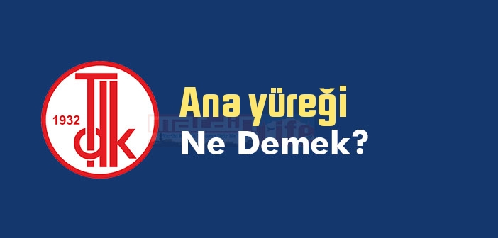 Ana yüreği ne demek? TDK'ya göre Ana yüreği sözlük anlamı nedir?
