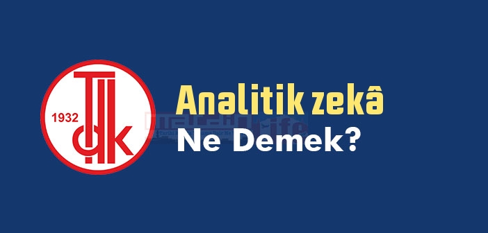 Analitik zekâ ne demek? TDK'ya göre Analitik zekâ sözlük anlamı nedir?