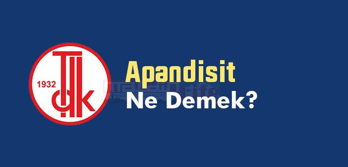 Apandisit ne demek? TDK'ya göre Apandisit kelime anlamı nedir? Apandisit sözlük anlamı