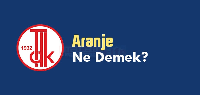 Aranje kelime anlamı nedir? TDK'ya göre Aranje ne demek? Aranje sözlük anlamı