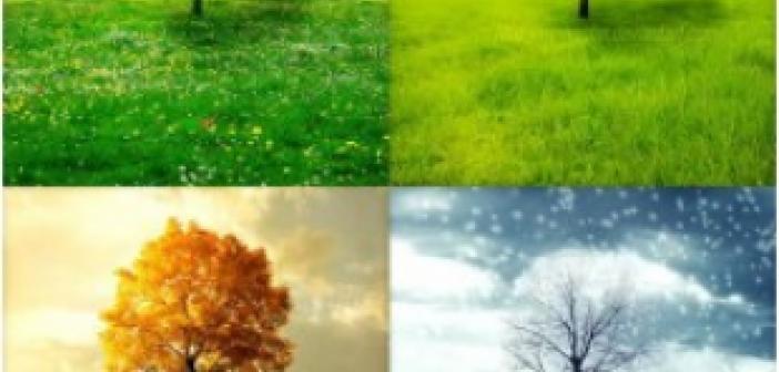Arapça Mevsimler Nelerdir? Arapça Mevsimlerin Yazılışı ve Okunuşu. Mevsimlerle İlgili Cümleler
