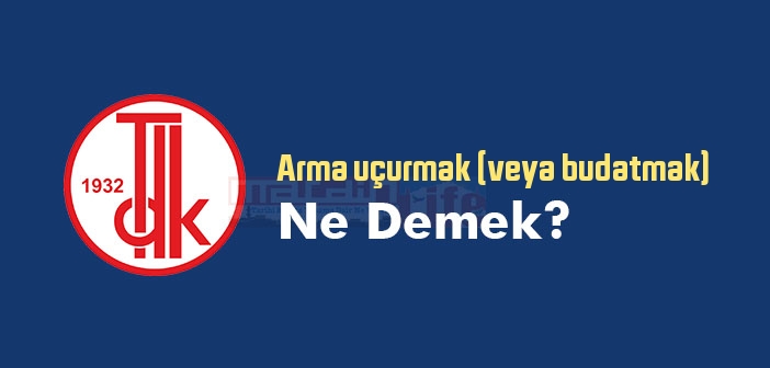 Arma uçurmak (veya budatmak) ne demek? Arma uçurmak (veya budatmak) sözünün anlamı nedir?