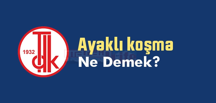 Ayaklı koşma ne demek? TDK'ya göre Ayaklı koşma sözlük anlamı nedir?