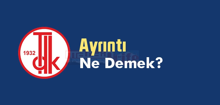 Ayrıntı ne demek? TDK'ya göre Ayrıntı kelime anlamı nedir? Ayrıntı sözlük anlamı