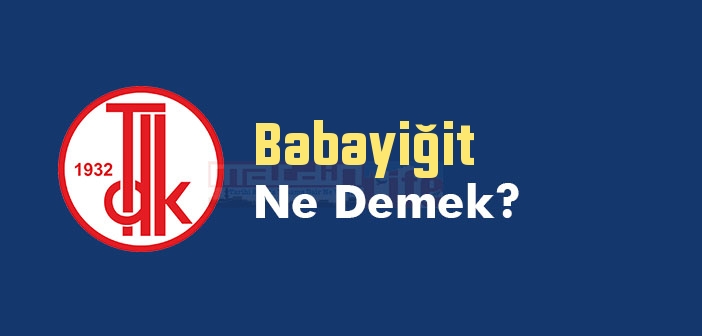 Babayiğit ne demek? TDK'ya göre Babayiğit kelime anlamı nedir? Babayiğit sözlük anlamı