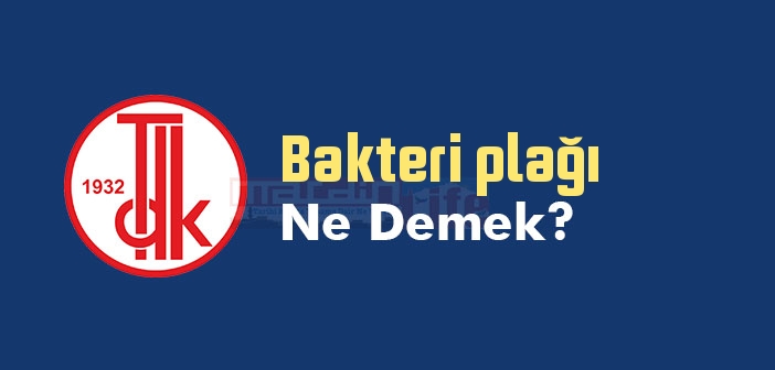 Bakteri plağı ne demek? TDK'ya göre Bakteri plağı sözlük anlamı nedir?