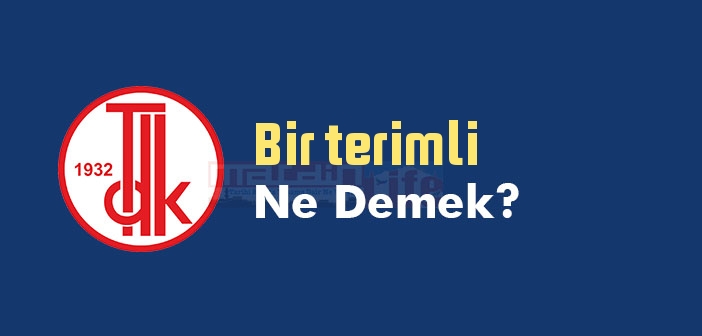 Bir terimli ne demek? TDK'ya göre Bir terimli sözlük anlamı nedir?