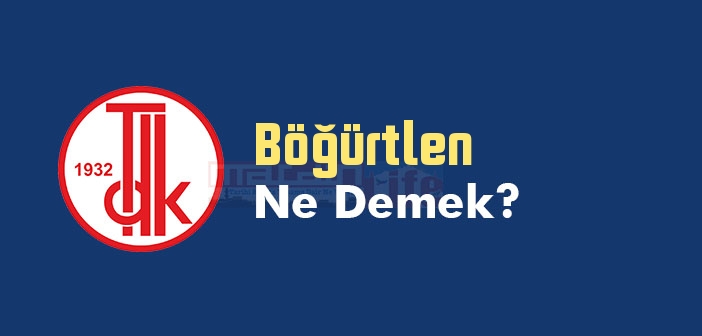 Böğürtlen ne demek? TDK'ya göre Böğürtlen kelime anlamı nedir? Böğürtlen sözlük anlamı