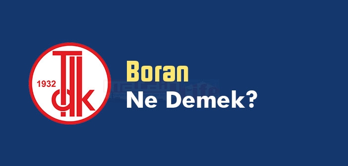 Boran ne demek? TDK'ya göre Boran kelime anlamı nedir? Sözlük anlamı nedir?