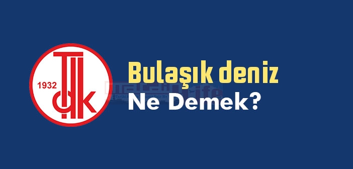 Bulaşık deniz ne demek? TDK'ya göre Bulaşık deniz sözlük anlamı nedir?