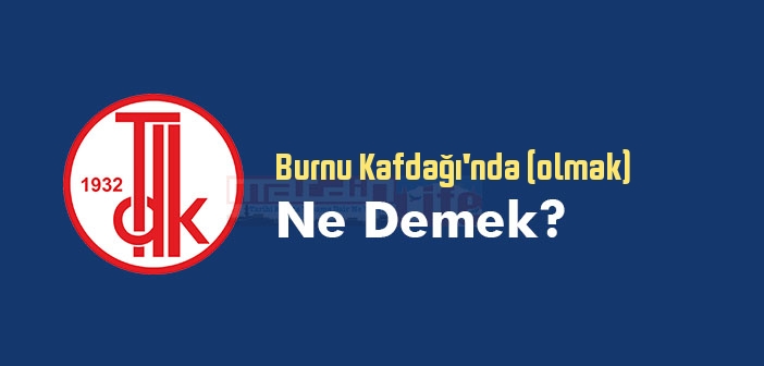 Burnu Kafdağı'nda (olmak) ne demek? Burnu Kafdağı'nda (olmak) sözünün anlamı nedir?