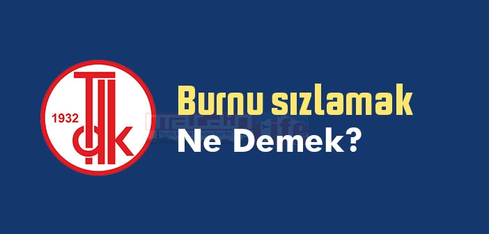Burnu sızlamak ne demek? Burnu sızlamak sözünün anlamı nedir?