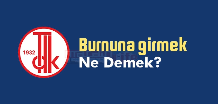 Burnuna girmek ne demek? Burnuna girmek sözünün anlamı nedir?