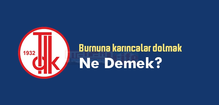 Burnuna karıncalar dolmak ne demek? Burnuna karıncalar dolmak sözünün anlamı nedir?