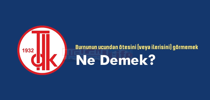 Burnunun ucundan ötesini (veya ilerisini) görmemek ne demek? Atasözü ve deyim ne anlama geliyor?