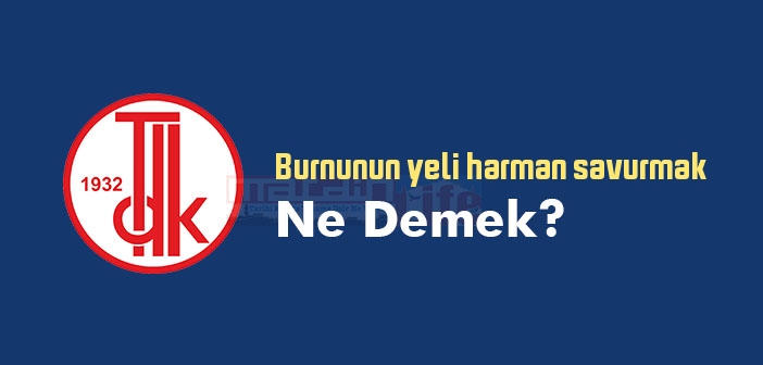 Burnunun yeli harman savurmak ne demek? Burnunun yeli harman savurmak sözünün anlamı nedir?