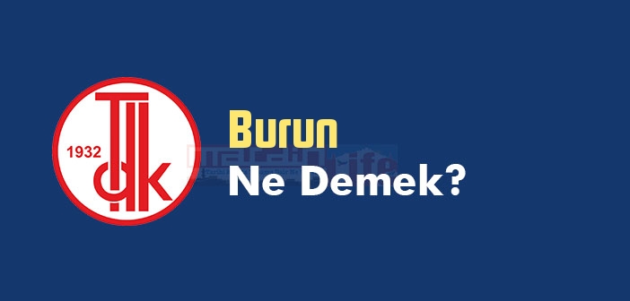 Burun ne demek? TDK'ya göre Burun kelime anlamı nedir? Burun sözlük anlamı