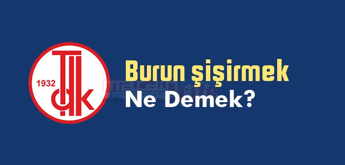Burun şişirmek ne demek? Burun şişirmek sözünün anlamı nedir?