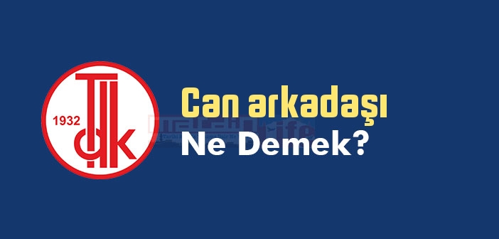 Can arkadaşı ne demek? TDK'ya göre Can arkadaşı sözlük anlamı nedir?