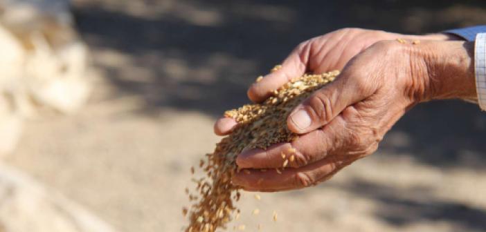 Çiftçiler, oluşan kuraklık karşısında verilen destekleri yetersiz buluyor
