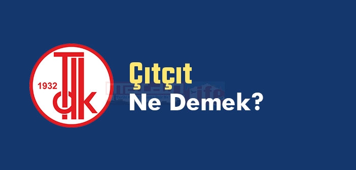 Çıtçıt ne demek? TDK'ya göre Çıtçıt kelime anlamı nedir? Çıtçıt sözlük anlamı