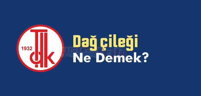 Dağ çileği ne demek? TDK'ya göre Dağ çileği sözlük anlamı nedir?