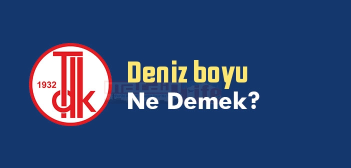 Deniz boyu ne demek? TDK'ya göre Deniz boyu sözlük anlamı nedir?