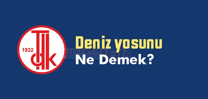 Deniz yosunu ne demek? TDK'ya göre Deniz yosunu sözlük anlamı nedir?