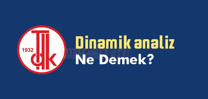 Dinamik analiz ne demek? TDK'ya göre Dinamik analiz sözlük anlamı nedir?