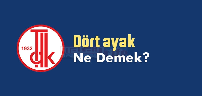 Dört ayak ne demek? TDK'ya göre Dört ayak sözlük anlamı nedir?