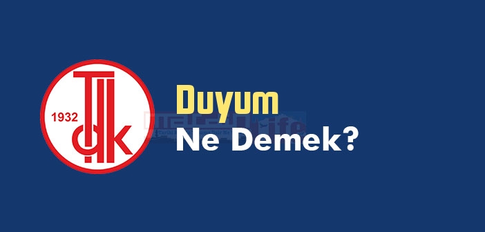 Duyum ne demek? TDK'ya göre Duyum kelime anlamı nedir? Duyum sözlük anlamı