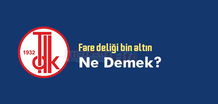 Fare deliği bin altın ne demek? Fare deliği bin altın sözünün anlamı nedir?