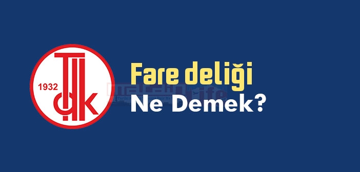 Fare deliği ne demek? TDK'ya göre Fare deliği sözlük anlamı nedir?
