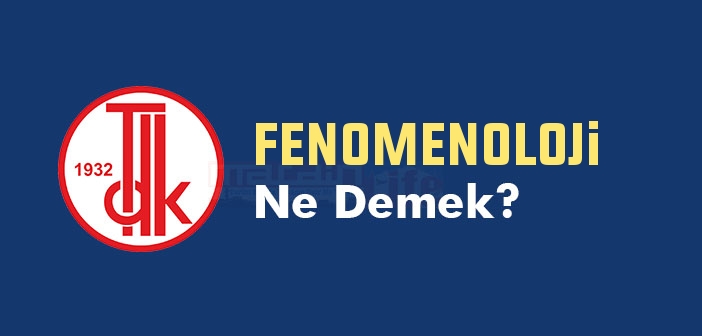 FENOMENOLOJi ne demek? TDK'ya göre FENOMENOLOJi kelime anlamı nedir? FENOMENOLOJi sözlük anlamı
