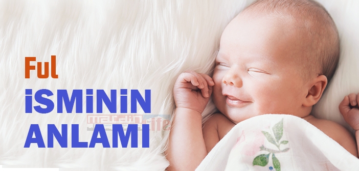 Ful isminin anlamı nedir? Ful ne demek? Ful ismi Kuranda geçiyor mu?
