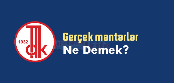 Gerçek mantarlar ne demek? TDK'ya göre Gerçek mantarlar sözlük anlamı nedir?