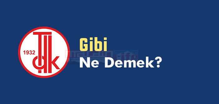 Gibi ne demek? TDK'ya göre Gibi kelime anlamı nedir? Gibi sözlük anlamı