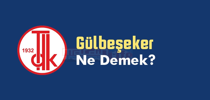 Gülbeşeker ne demek? TDK'ya göre Gülbeşeker kelime anlamı nedir? Gülbeşeker sözlük anlamı