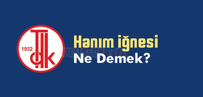 Hanım iğnesi ne demek? TDK'ya göre Hanım iğnesi sözlük anlamı nedir?