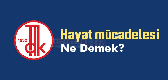 Hayat mücadelesi ne demek? TDK'ya göre Hayat mücadelesi sözlük anlamı nedir?