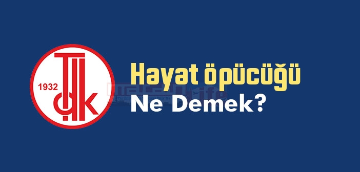 Hayat öpücüğü ne demek? TDK'ya göre Hayat öpücüğü sözlük anlamı nedir?