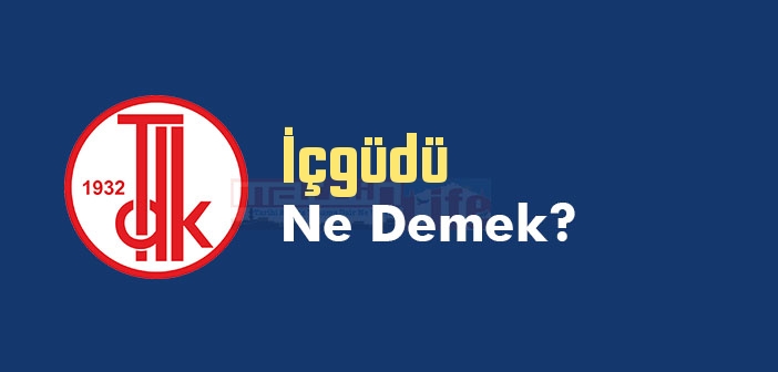 İçgüdü ne demek? TDK'ya göre İçgüdü kelime anlamı nedir? İçgüdü sözlük anlamı