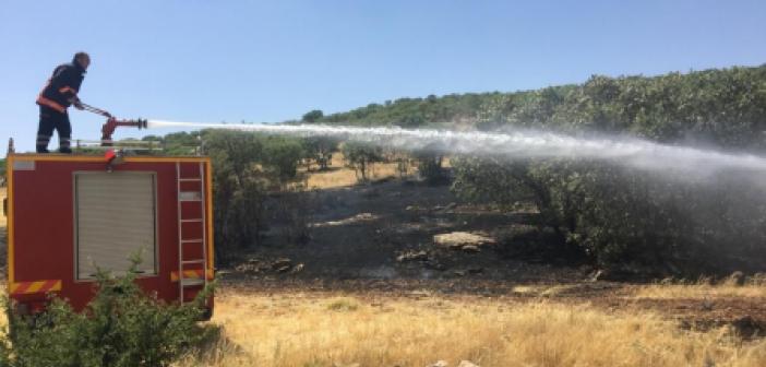 İki bin dönüm ekili alanda çıkan 45 yangına müdahale edildi