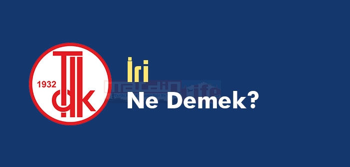 İri ne demek? TDK'ya göre İri kelime anlamı nedir? İri sözlük anlamı
