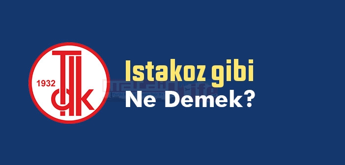 Istakoz gibi ne demek? Istakoz gibi sözünün anlamı nedir?