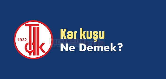 Kar kuşu ne demek? TDK'ya göre Kar kuşu ne demek?