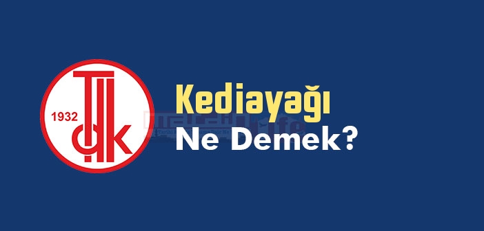 Kediayağı ne demek? TDK'ya göre Kediayağı kelime anlamı nedir? Kediayağı sözlük anlamı