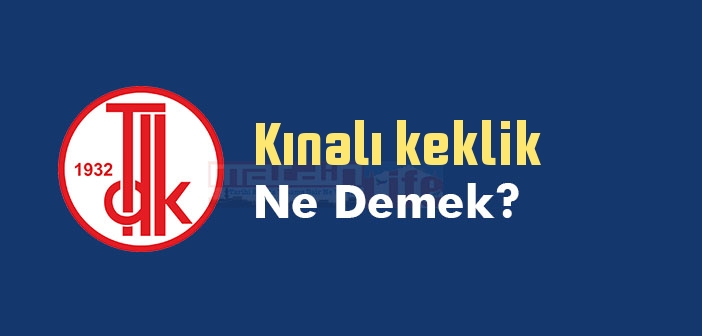 Kınalı keklik ne demek? TDK'ya göre Kınalı keklik sözlük anlamı nedir?