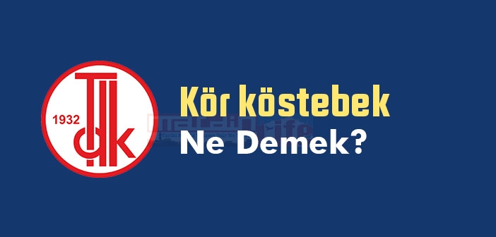 Kör köstebek ne demek? TDK'ya göre Kör köstebek sözlük anlamı nedir?