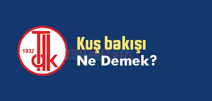Kuş bakışı ne demek? TDK'ya göre Kuş bakışı sözlük anlamı nedir?